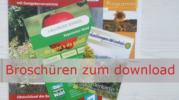 Flyer und Broschüren als pdf zum download