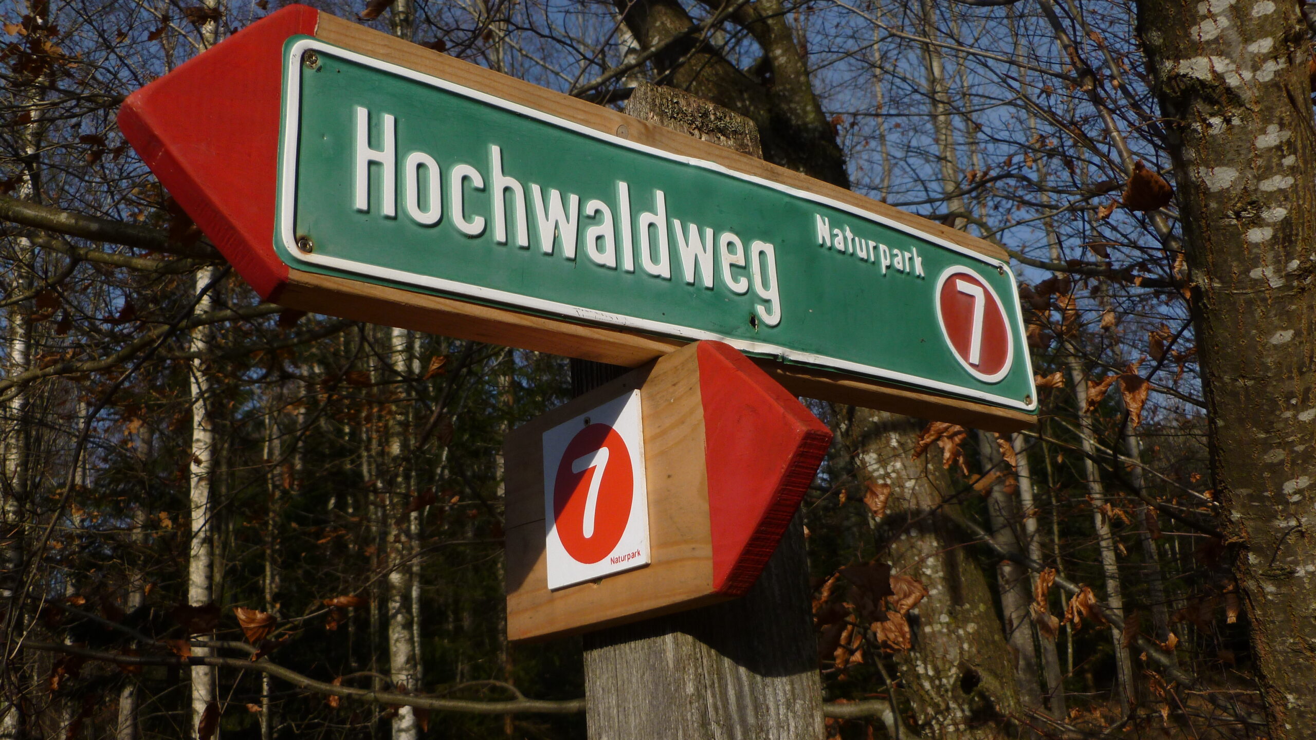 Hochwaldweg - kurze Variante