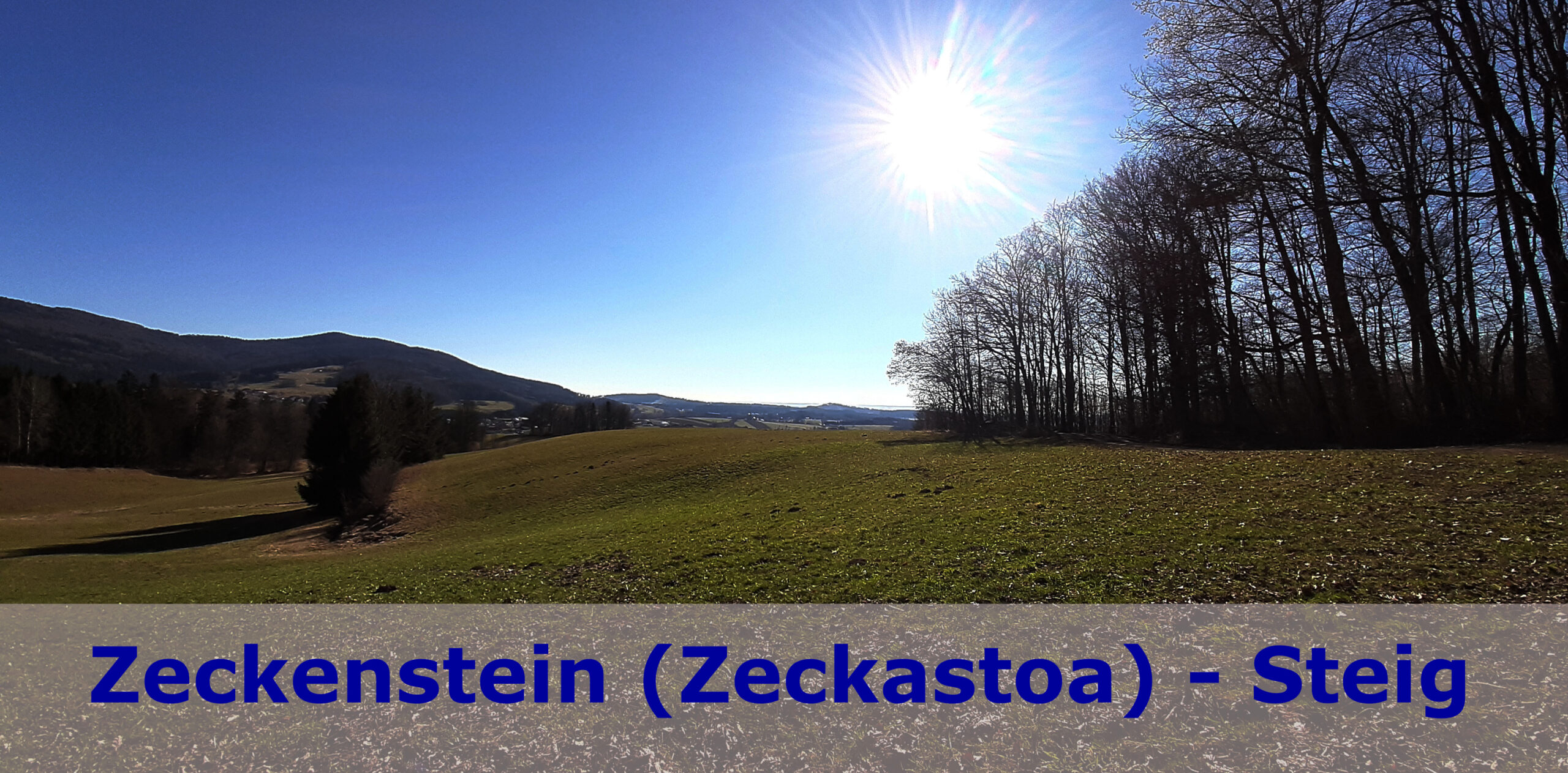 Zeckenstein-Steig